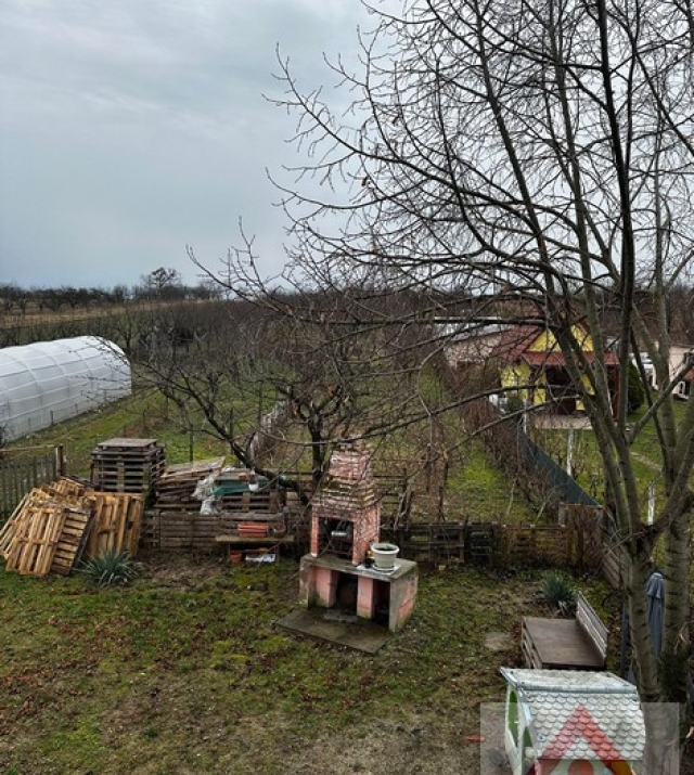 a1632-CasaViile SatuMare09.JPG